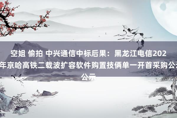 空姐 偷拍 中兴通信中标后果：黑龙江电信2024年京哈高铁二载波扩容软件购置技俩单一开首采购公示