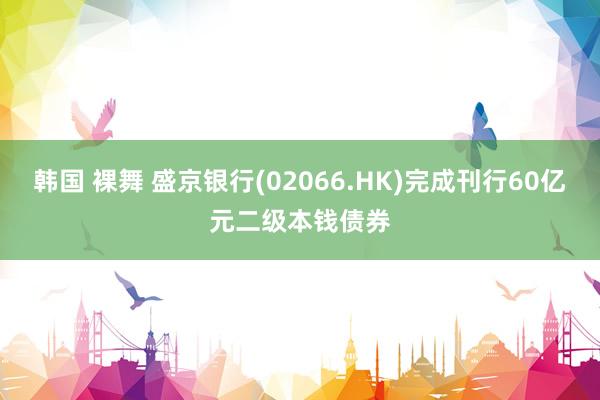 韩国 裸舞 盛京银行(02066.HK)完成刊行60亿元二级本钱债券