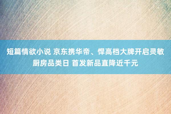 短篇情欲小说 京东携华帝、悍高档大牌开启灵敏厨房品类日 首发新品直降近千元