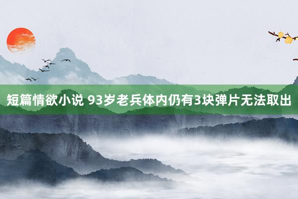 短篇情欲小说 93岁老兵体内仍有3块弹片无法取出