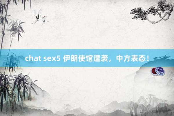 chat sex5 伊朗使馆遭袭，中方表态！