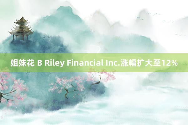 姐妹花 B Riley Financial Inc.涨幅扩大至12%