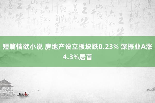 短篇情欲小说 房地产设立板块跌0.23% 深振业A涨4.3%居首