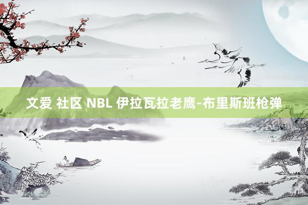 文爱 社区 NBL 伊拉瓦拉老鹰-布里斯班枪弹