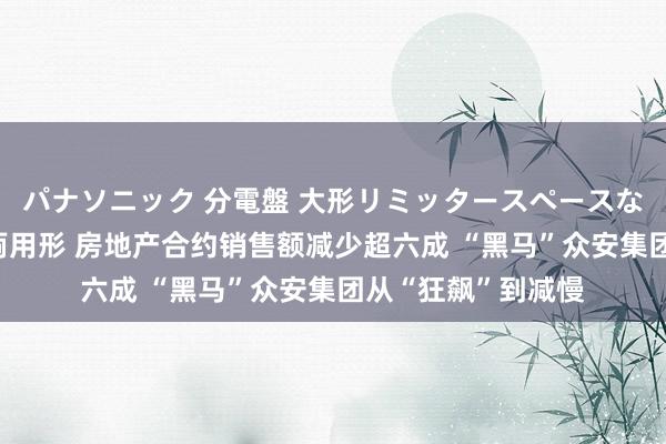 パナソニック 分電盤 大形リミッタースペースなし 露出・半埋込両用形 房地产合约销售额减少超六成 “黑马”众安集团从“狂飙”到减慢