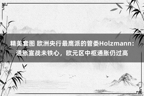 精美套图 欧洲央行最鹰派的管委Holzmann：通胀宣战未铁心，欧元区中枢通胀仍过高