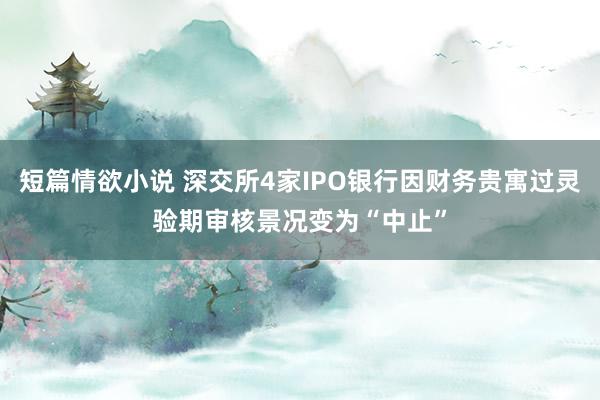 短篇情欲小说 深交所4家IPO银行因财务贵寓过灵验期审核景况变为“中止”