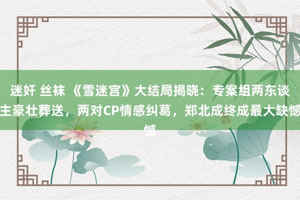 迷奸 丝袜 《雪迷宫》大结局揭晓：专案组两东谈主豪壮葬送，两对CP情感纠葛，郑北成终成最大缺憾