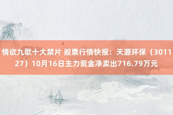 情欲九歌十大禁片 股票行情快报：天源环保（301127）10月16日主力资金净卖出716.79万元