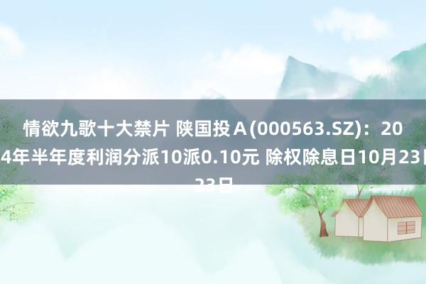 情欲九歌十大禁片 陕国投Ａ(000563.SZ)：2024年半年度利润分派10派0.10元 除权除息日10月23日