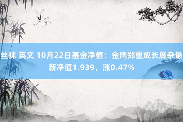 丝袜 英文 10月22日基金净值：金鹰郑重成长羼杂最新净值1.939，涨0.47%