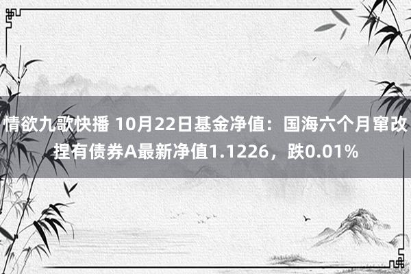 情欲九歌快播 10月22日基金净值：国海六个月窜改捏有债券A最新净值1.1226，跌0.01%