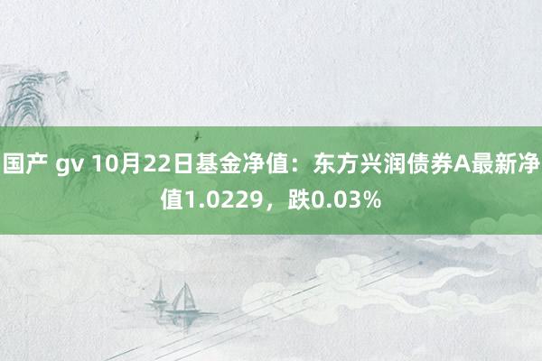 国产 gv 10月22日基金净值：东方兴润债券A最新净值1.0229，跌0.03%