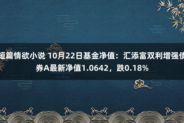 短篇情欲小说 10月22日基金净值：汇添富双利增强债券A最新净值1.0642，跌0.18%