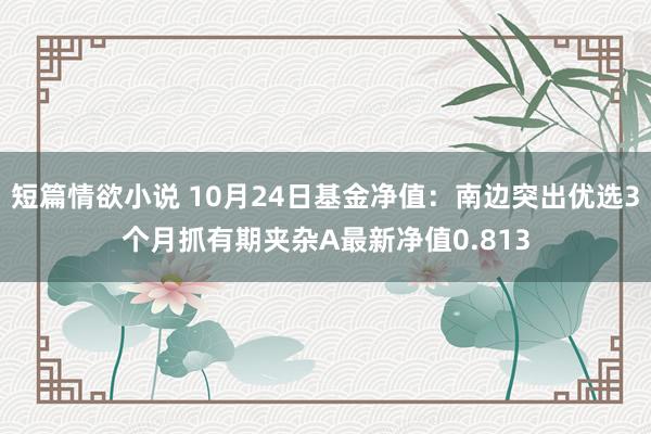 短篇情欲小说 10月24日基金净值：南边突出优选3个月抓有期夹杂A最新净值0.813