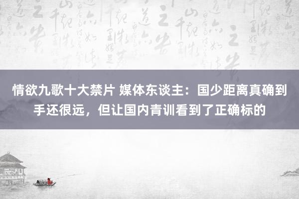 情欲九歌十大禁片 媒体东谈主：国少距离真确到手还很远，但让国内青训看到了正确标的