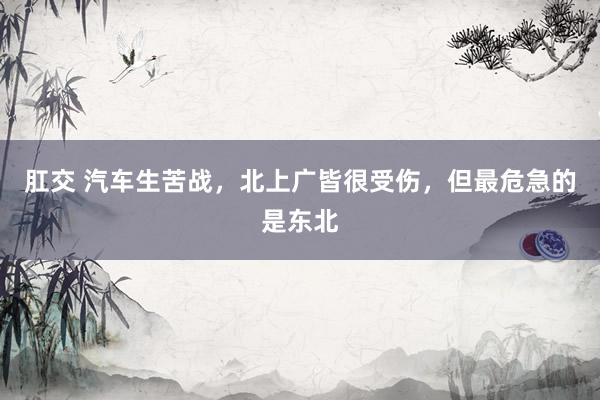 肛交 汽车生苦战，北上广皆很受伤，但最危急的是东北