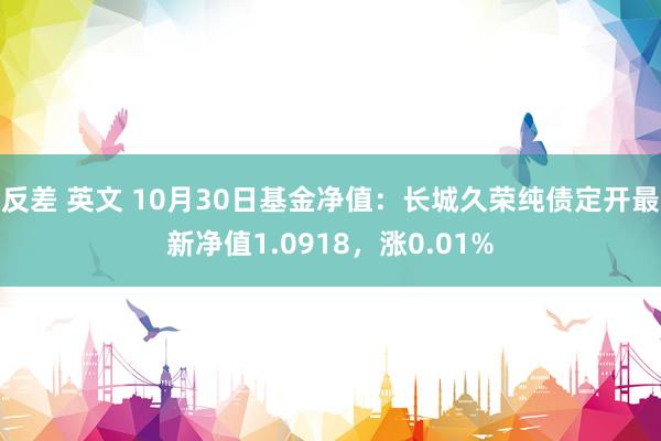 反差 英文 10月30日基金净值：长城久荣纯债定开最新净值1.0918，涨0.01%