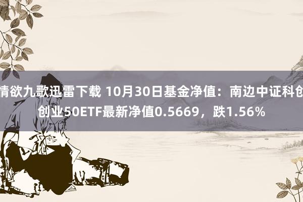 情欲九歌迅雷下载 10月30日基金净值：南边中证科创创业50ETF最新净值0.5669，跌1.56%