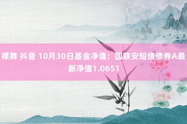 裸舞 抖音 10月30日基金净值：国联安短债债券A最新净值1.0651