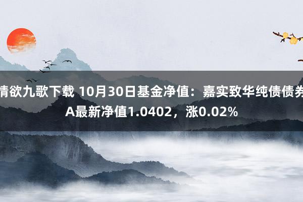 情欲九歌下载 10月30日基金净值：嘉实致华纯债债券A最新净值1.0402，涨0.02%