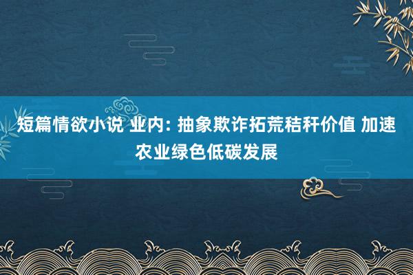 短篇情欲小说 业内: 抽象欺诈拓荒秸秆价值 加速农业绿色低碳发展