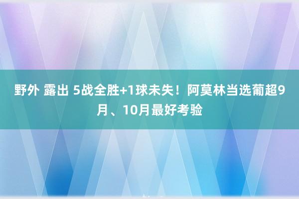 野外 露出 5战全胜+1球未失！阿莫林当选葡超9月、10月最好考验