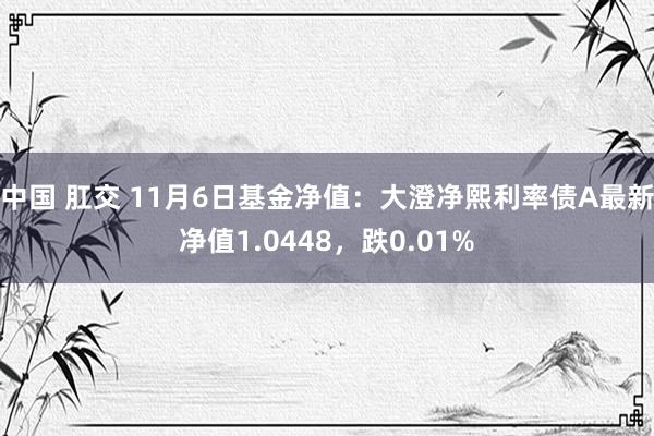 中国 肛交 11月6日基金净值：大澄净熙利率债A最新净值1.0448，跌0.01%