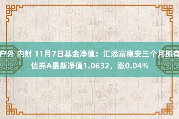 户外 内射 11月7日基金净值：汇添富稳安三个月抓有债券A最新净值1.0632，涨0.04%