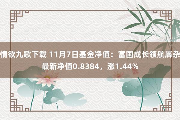 情欲九歌下载 11月7日基金净值：富国成长领航羼杂最新净值0.8384，涨1.44%