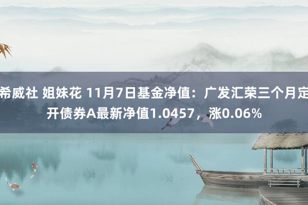 希威社 姐妹花 11月7日基金净值：广发汇荣三个月定开债券A最新净值1.0457，涨0.06%