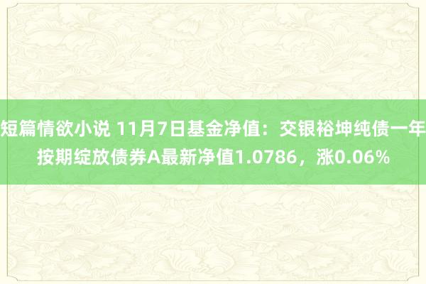 短篇情欲小说 11月7日基金净值：交银裕坤纯债一年按期绽放债券A最新净值1.0786，涨0.06%