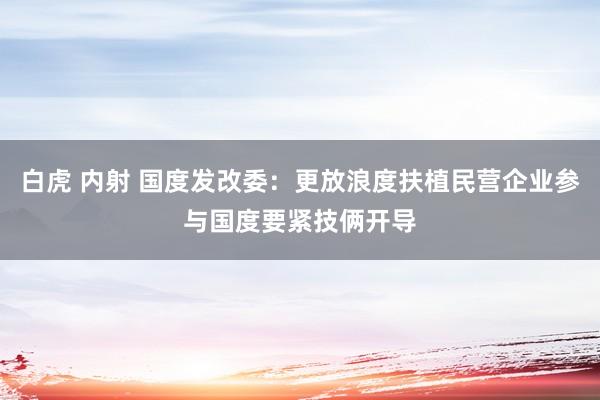 白虎 内射 国度发改委：更放浪度扶植民营企业参与国度要紧技俩开导