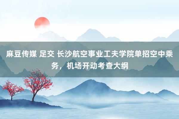 麻豆传媒 足交 长沙航空事业工夫学院单招空中乘务，机场开动考查大纲