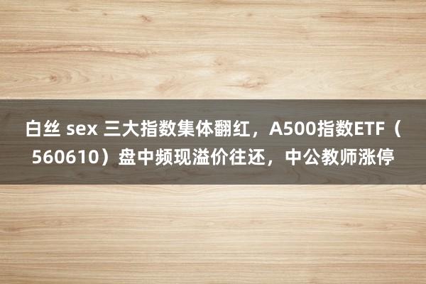 白丝 sex 三大指数集体翻红，A500指数ETF（560610）盘中频现溢价往还，中公教师涨停