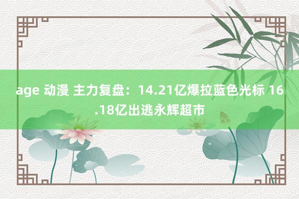 age 动漫 主力复盘：14.21亿爆拉蓝色光标 16.18亿出逃永辉超市