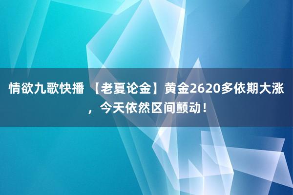 情欲九歌快播 【老夏论金】黄金2620多依期大涨，今天依然区间颤动！