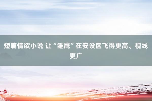 短篇情欲小说 让“雏鹰”在安设区飞得更高、视线更广