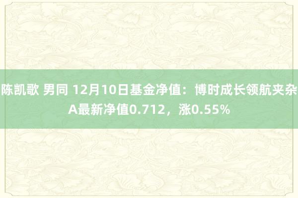 陈凯歌 男同 12月10日基金净值：博时成长领航夹杂A最新净值0.712，涨0.55%