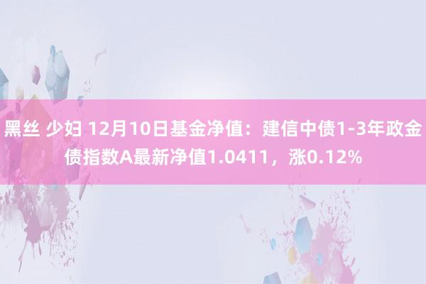 黑丝 少妇 12月10日基金净值：建信中债1-3年政金债指数A最新净值1.0411，涨0.12%