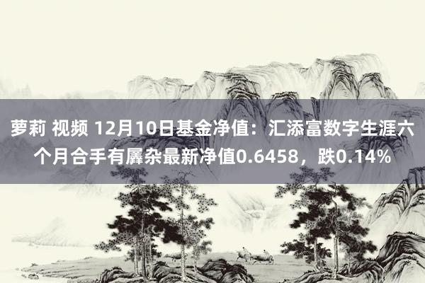 萝莉 视频 12月10日基金净值：汇添富数字生涯六个月合手有羼杂最新净值0.6458，跌0.14%