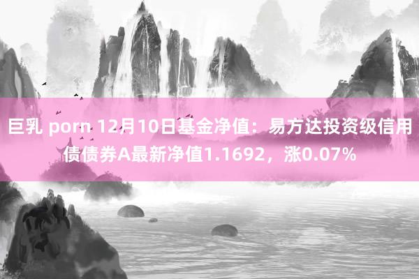 巨乳 porn 12月10日基金净值：易方达投资级信用债债券A最新净值1.1692，涨0.07%