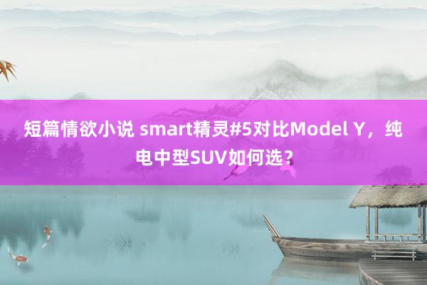 短篇情欲小说 smart精灵#5对比Model Y，纯电中型SUV如何选？