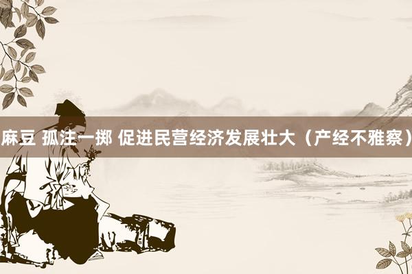 麻豆 孤注一掷 促进民营经济发展壮大（产经不雅察）