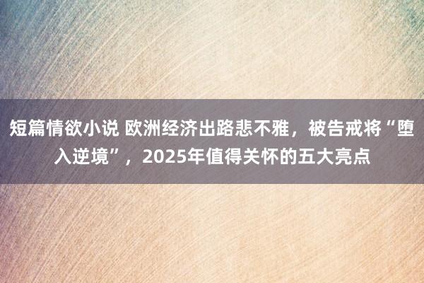 短篇情欲小说 欧洲经济出路悲不雅，被告戒将“堕入逆境”，2025年值得关怀的五大亮点