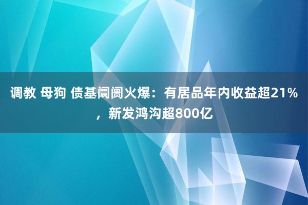 调教 母狗 债基阛阓火爆：有居品年内收益超21%，新发鸿沟超800亿