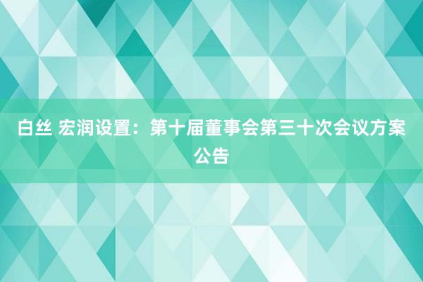 白丝 宏润设置：第十届董事会第三十次会议方案公告