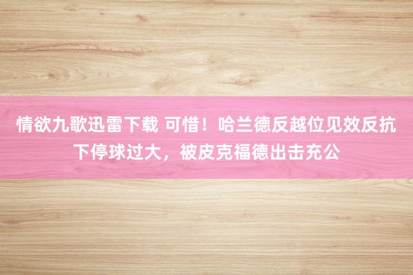 情欲九歌迅雷下载 可惜！哈兰德反越位见效反抗下停球过大，被皮克福德出击充公