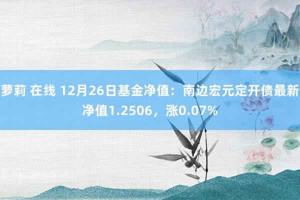 萝莉 在线 12月26日基金净值：南边宏元定开债最新净值1.2506，涨0.07%