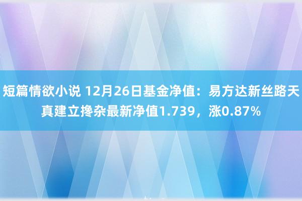 短篇情欲小说 12月26日基金净值：易方达新丝路天真建立搀杂最新净值1.739，涨0.87%